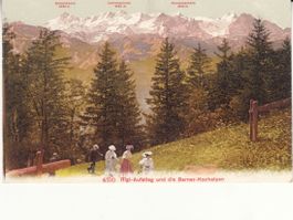 Rigi Aufstieg ca. 1910