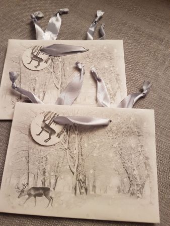 2 x Geschenksäckli mit Winterlandschaft