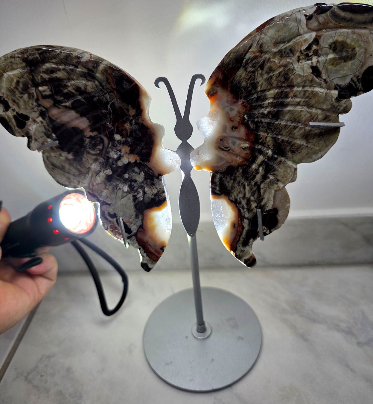 Minerali & Pietre curative: Money Agate Schmetterling – Nuovo e nell'imballaggio originale da Matzingen venduto da Shay_Crystalz 1