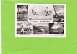 Frohe Feriengrüsse vom Thunersee