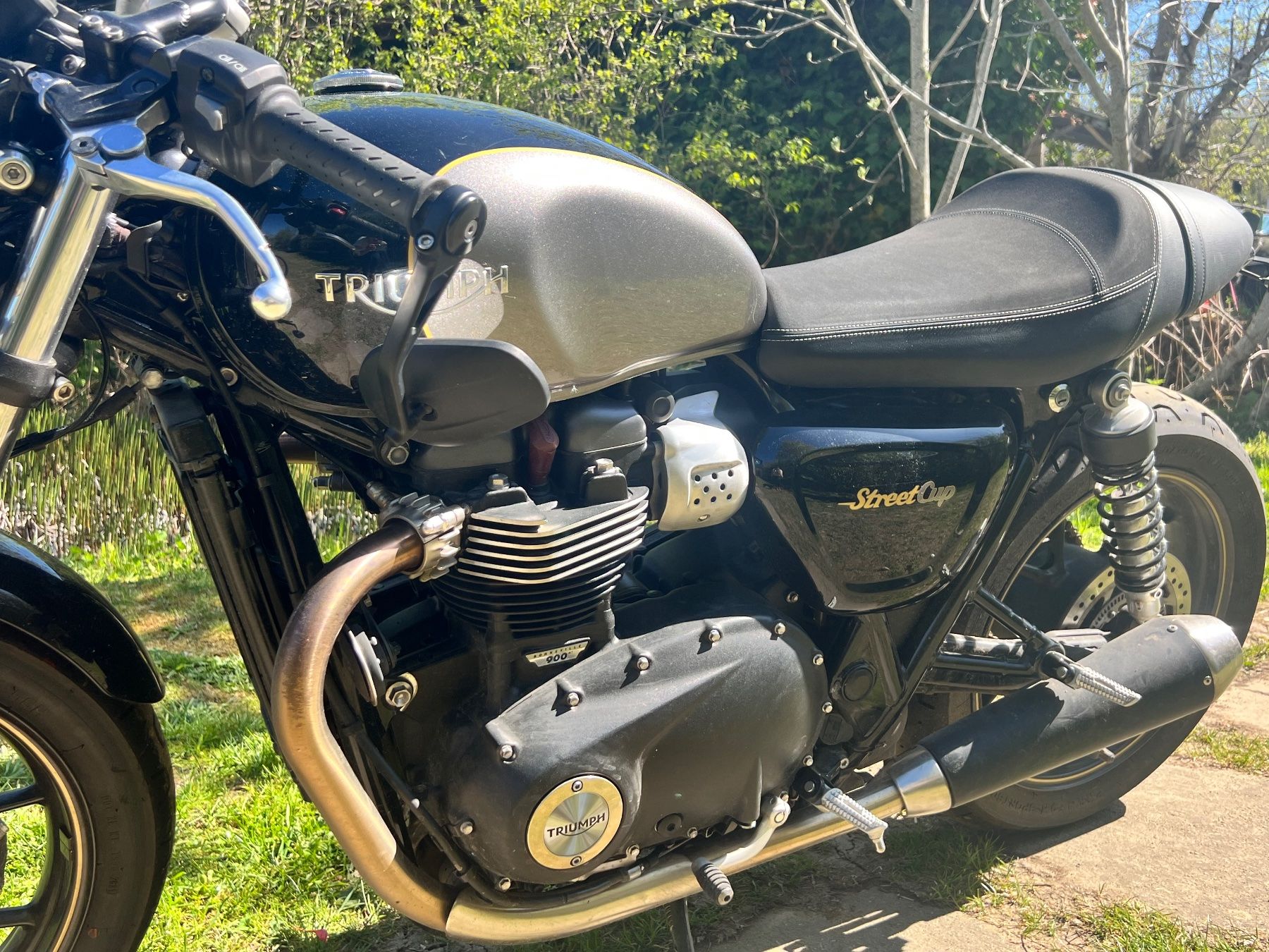 Triumph Strada: Triumph - Street Cup – Usato da Chaumont venduto da vva_dtv5
