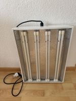 Pflanzenlampe mit CFL Leuchtstoffröhren