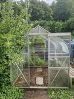 Gewächshaus zu verkaufen – ein echtes Schnäppchen für Garten