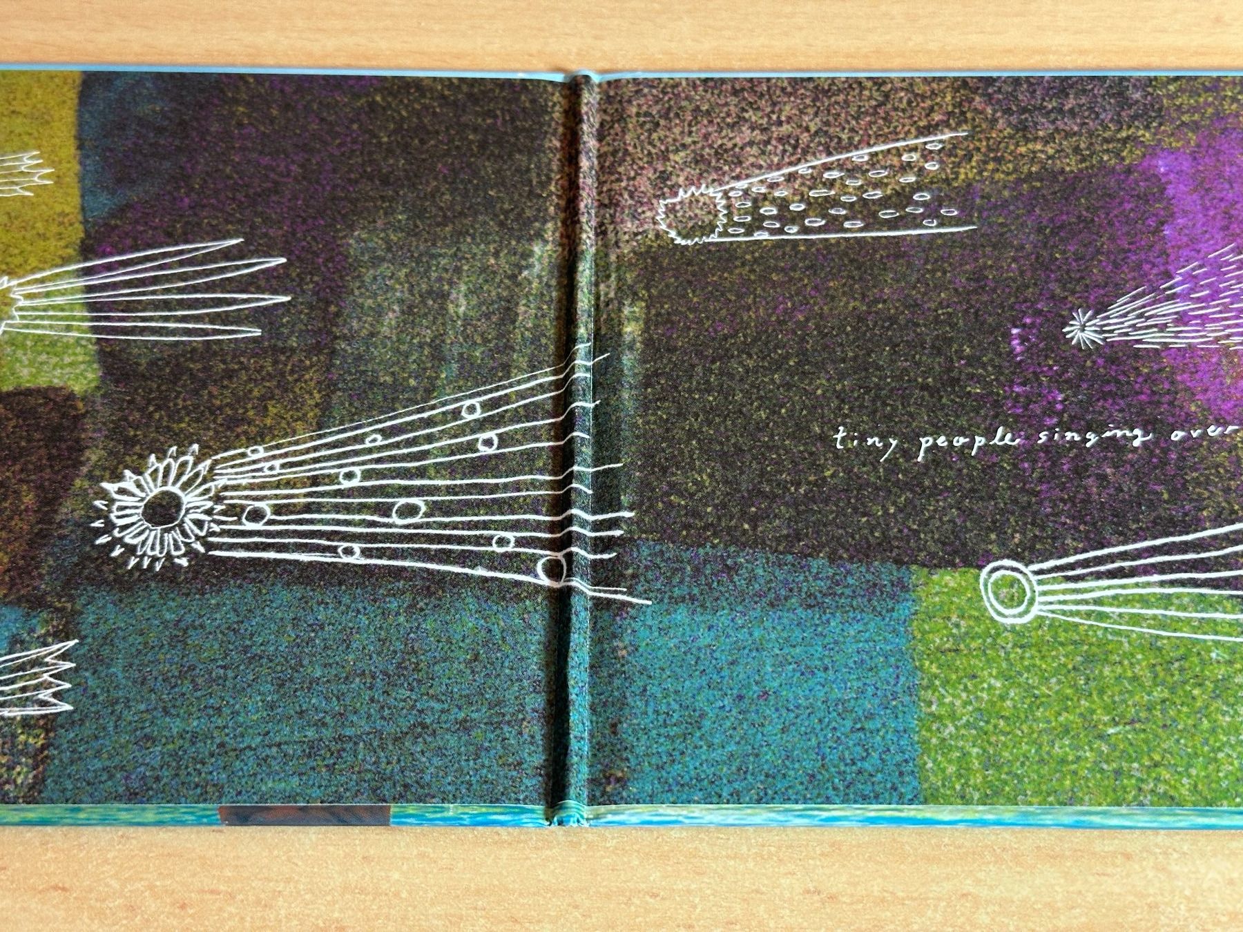 CD: Gutevolk – Tiny People Singing Over The Rainbow – Usato da Rikon im Tösstal venduto da Alpenmutz 2
