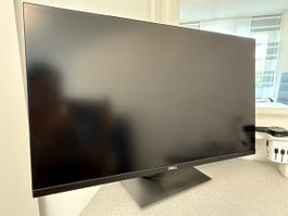 Dell P2421D 24” QHD Monitor – Top Zustand