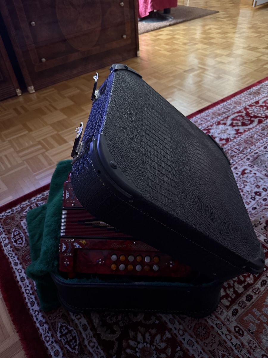 Strumenti musicali: Pedrosini Super Castelfidardo, Örgeli mit Koffer – Usato da Altendorf venduto da ally27 6