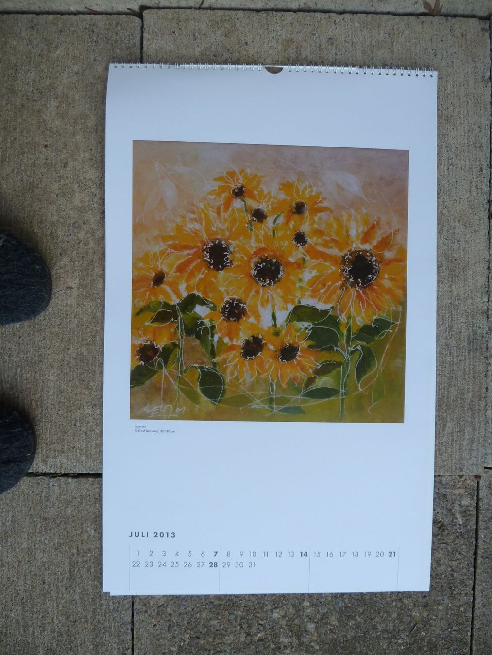 Kalender: Alban Welti - Kalender Impressionen – Neu (gemäss Beschreibung) aus Weinfelden von Frosch467 3