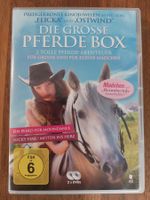 DVD - Ein Pferd für Moondance