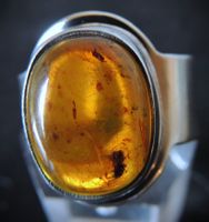 Bernstein Silber 925 Fingerring Gr. 52 - 57