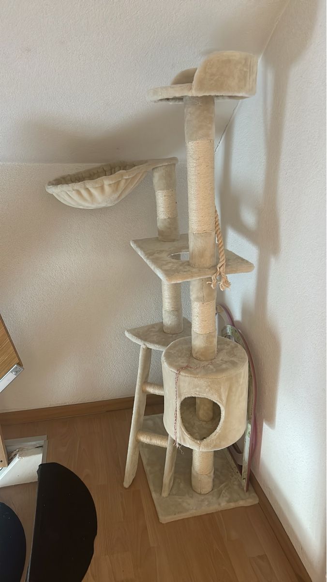 Katzenbaum - Kratzbaum: Kratzbaum beige mit Liegemulde gebraucht – Gebraucht aus Lachen SZ von Nili2021