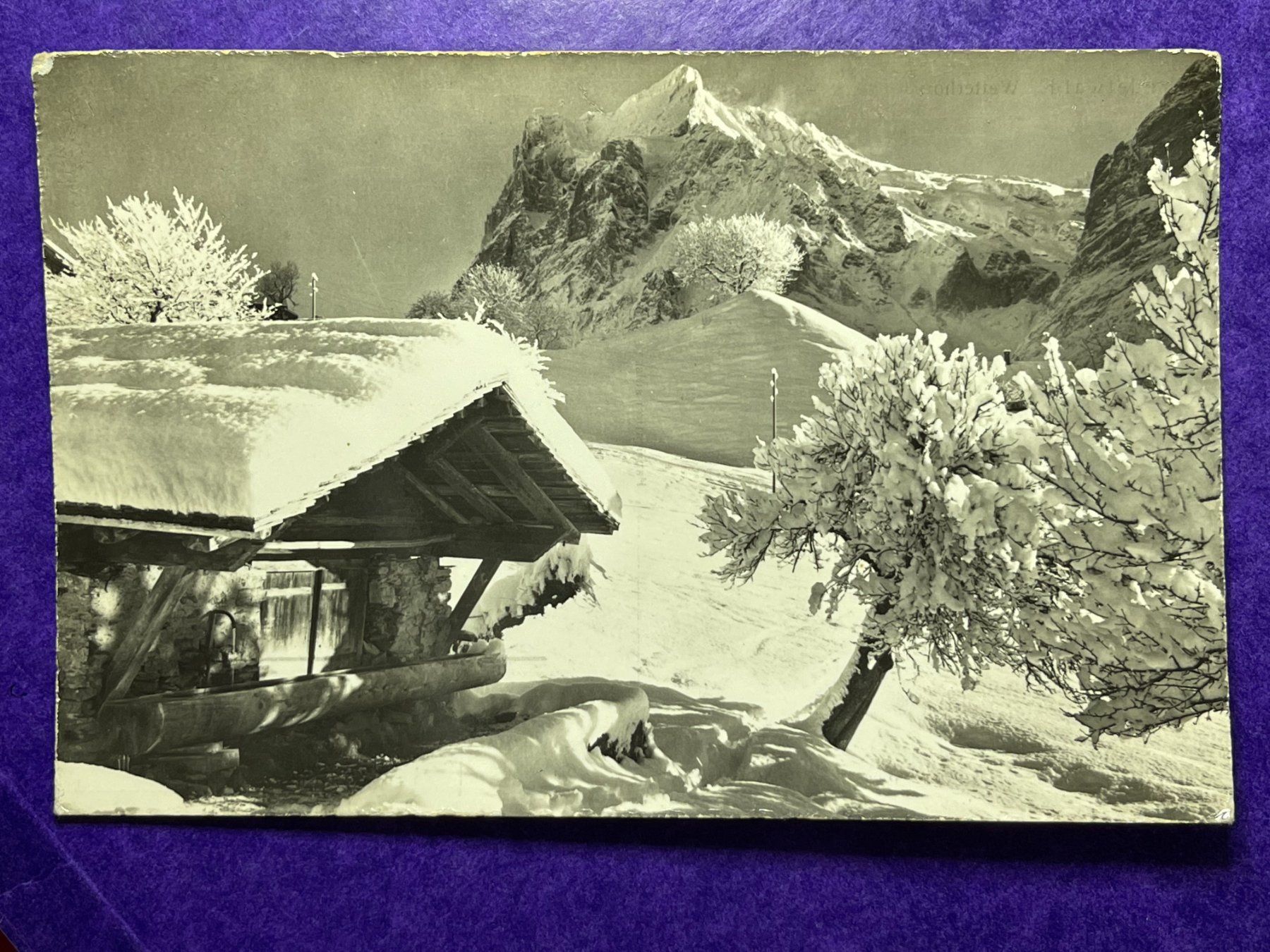 Cartoline postali: Grindelwald - Wetterhorn – Usato da Steg VS venduto da _vinci_