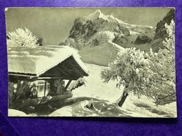 Grindelwald - Wetterhorn
