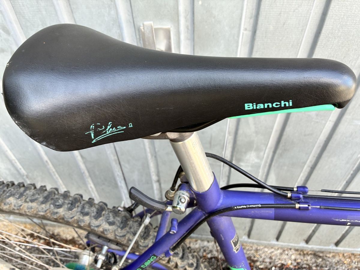 Bianchi Biciclette: Mountainbike Bianchi – Usato da Herzogenbuchsee venduto da filoferro 2