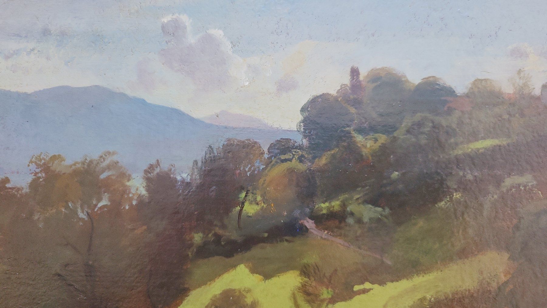 Tableaux: Landschaftsstudie 19. Jahrhundert – D'occasion à Muttenz par Mithrur 3