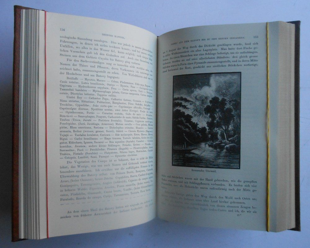 Libri: Vier klassische Reiseberichte. – Usato da Basel venduto da Domba 6