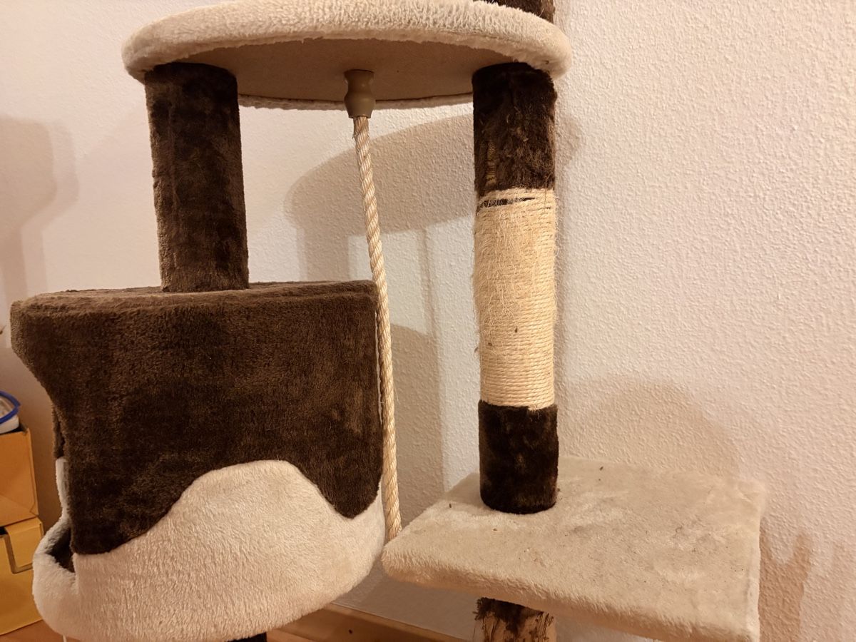 Tiragraffi: Kratzbaum für Katzen – Usato da Aarau venduto da Dotti3 2