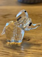 Swarovski Elephant mit Originalbox