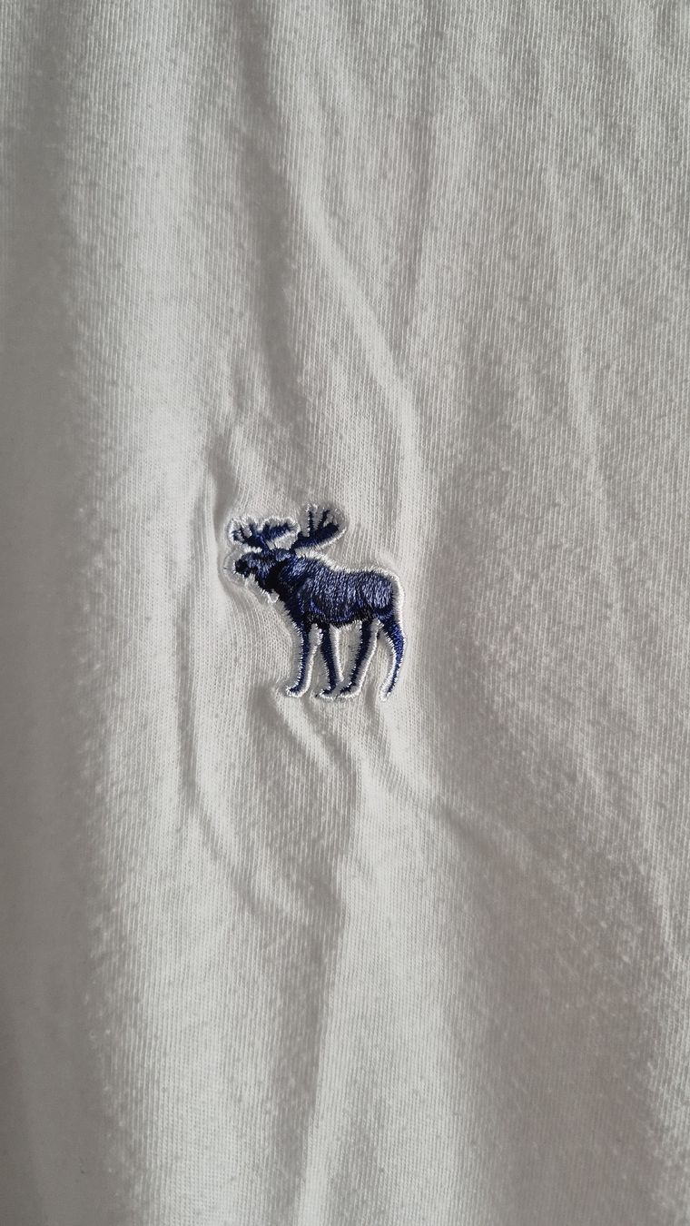 Abercrombie T-Shirts: Shirt Aebercombie & Fitch – Neu (gemäss Beschreibung) aus St. Gallen von Sidney1879 1