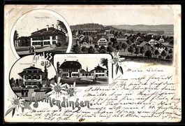 Lithographie Allmendingen, Villa von Eden, Luisenheim und Sc