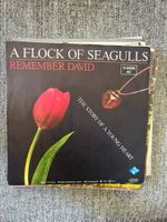 A Flock Of Seaguls - Remember David
