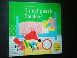 Où est passé Doudou? Livre jeunesse cherche et trouve ren...