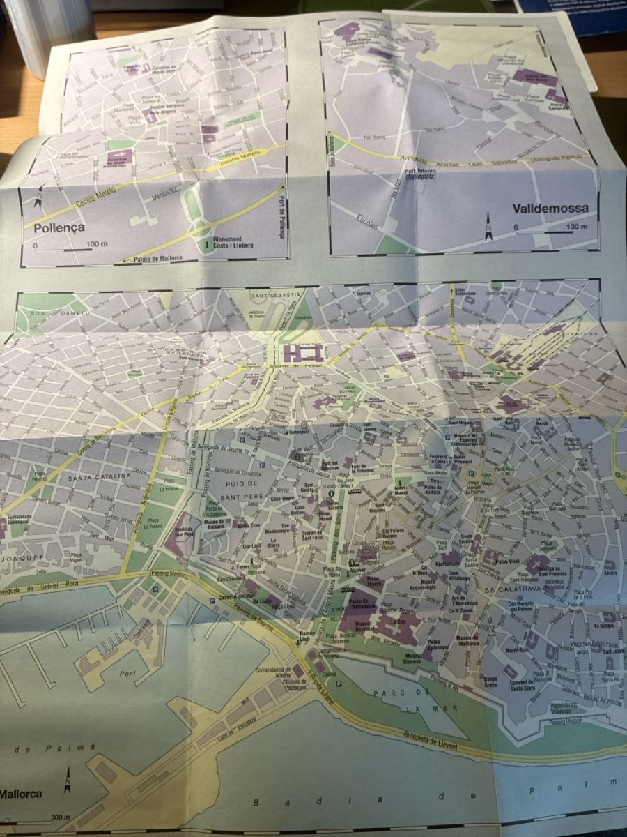 Libri: POLYGLOTT Mallorca Reisefuehrer flipmap neu – Usato da Konolfingen venduto da link09 2