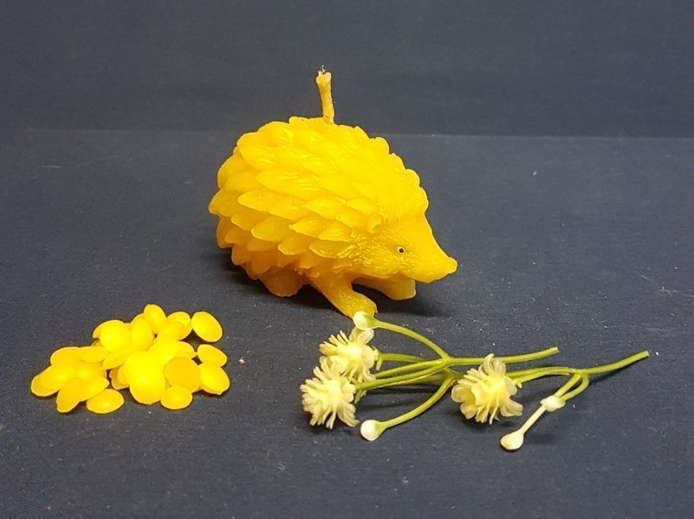 Candele: Bienenwachskerze Igel – Nuovo (secondo la descrizione) da Jegenstorf venduto da pluesch94