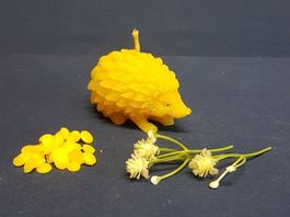 Bienenwachskerze Igel