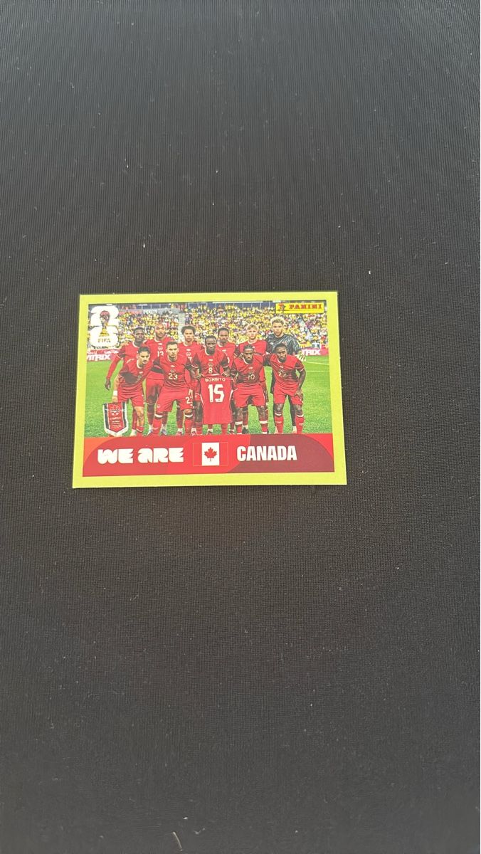Panini Carte collezionabili: Panini - WM 2026 - CAN 13 – Usato da Kaiseraugst venduto da Baum_12