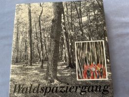 WALDSPAZIERGANG, Rotzler Willy, Küfer Martin, Katalog 1989