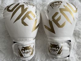 Boxhandschuhe 10 oz, zwei Paar!