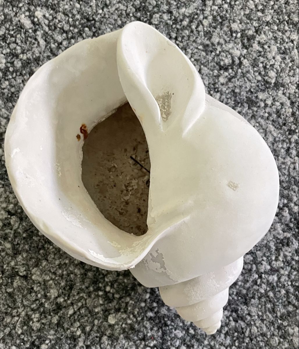 Tutte le decorazioni: Garten Schnecke weiss Dekoobjekt gross DekoSchale – Usato da Au ZH venduto da Jaggy4 3