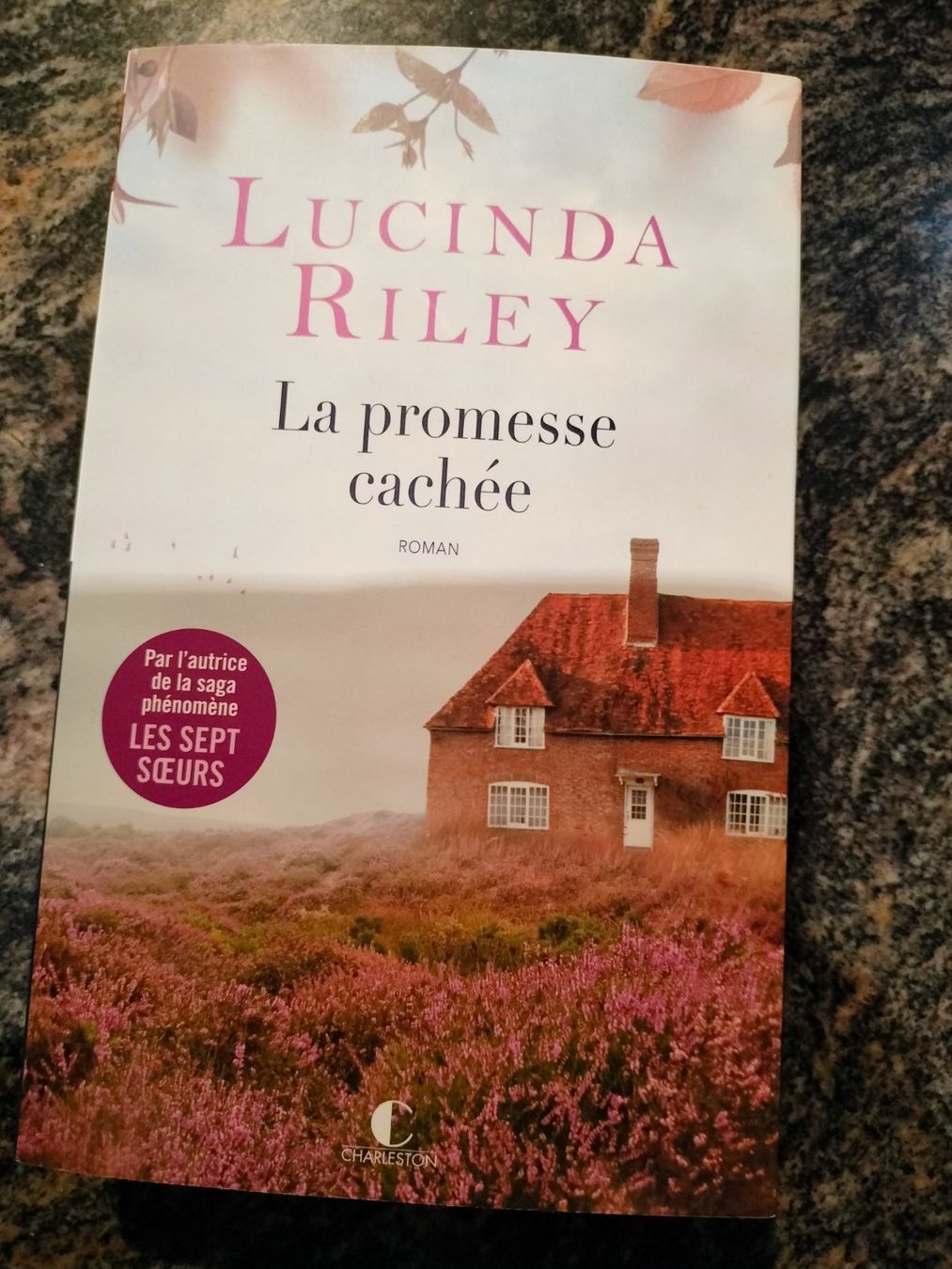 Libri: La Promesse cachée Lucinda Riley, – Usato da Cortaillod venduto da rozinna