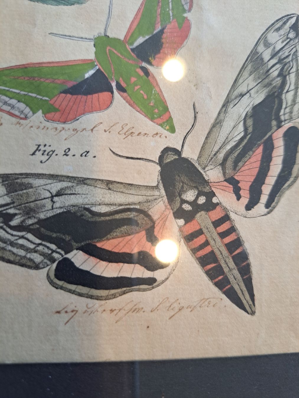 Stiche: Orginal Handkolorierter Kupferstich von 1825 – Gebraucht aus Rehetobel von hobirot01 3