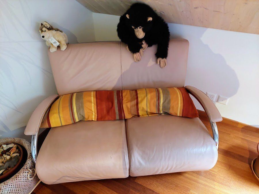 Divani: Ledersofa – Usato da Magden venduto da Pfilou