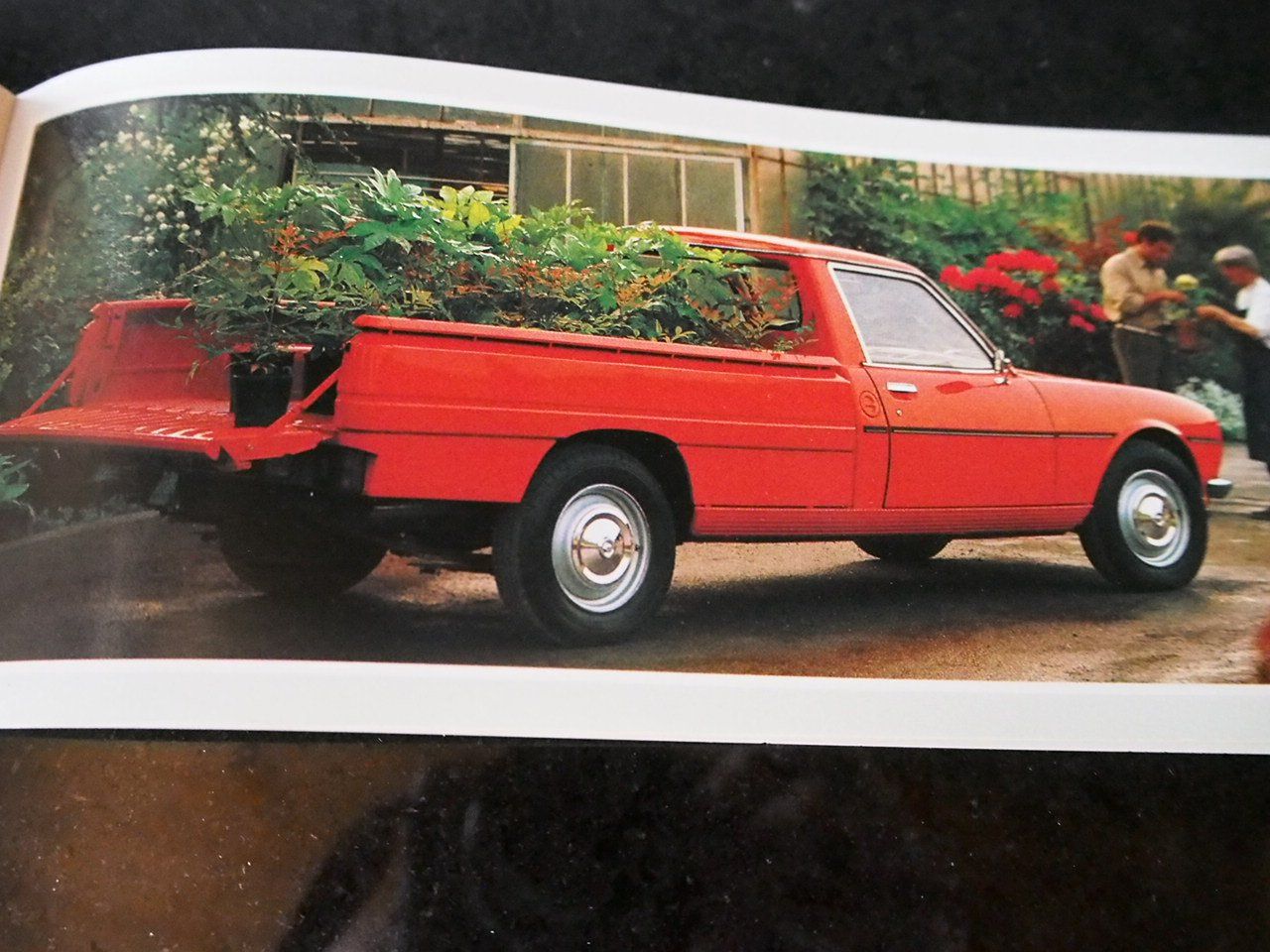 Peugeot Documenti: Peugeot Modellpalette 1983 – Usato da Zofingen venduto da sosalinos01 7
