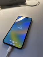  iPhone X weiss 256 GB Defekt