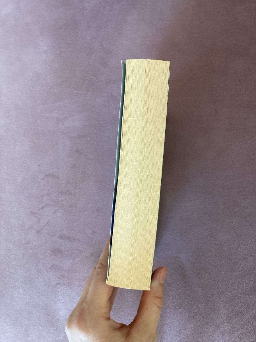 Libri: Cecelia Ahern Hundert Namen – Usato da Walenstadt venduto da bedina92 4