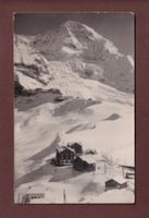 Foto - KLEINE SCHEIDEGG - Mönch / Eckbug //