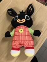 Peluche Bing