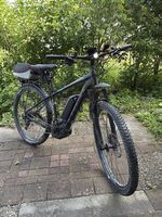 E-Mountainbike Trek