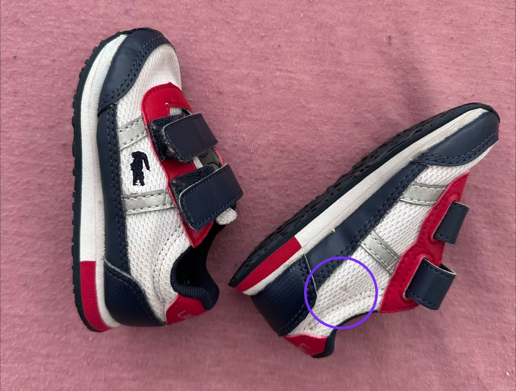 Lacoste Scarpe per ragazzi: Lacoste Schuhe – Usato da Dürrenroth venduto da tvy_bh56 6