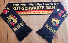 SC Bern Schal Hardcore-Fans Hockey SCB Fan Schweiz