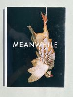 Fotobuch MEANWHILE Shirana Shahbazi Kunstbuch