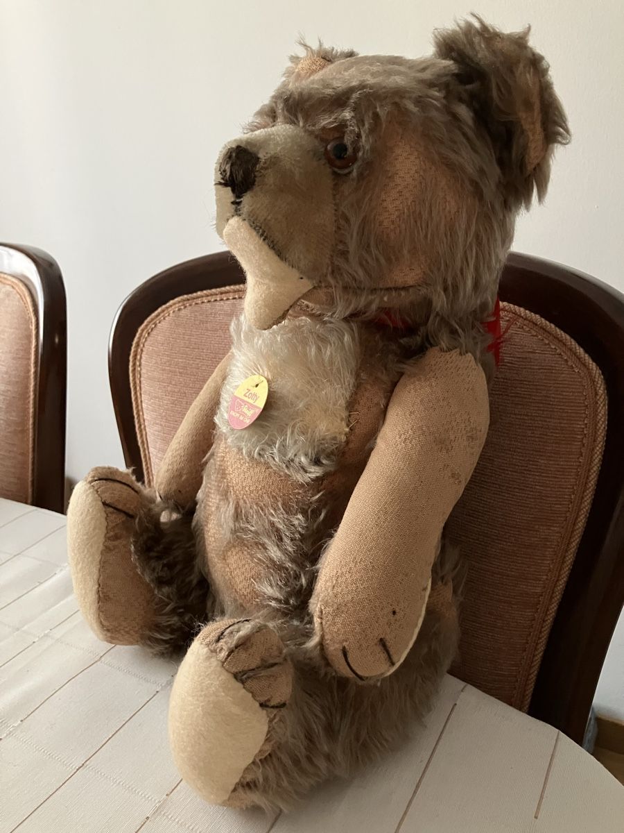 Steiff Bambole: Steiff Teddybär – Usato da Cham venduto da Roger1968 1
