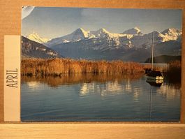 AK von Thunersee mit Bergpanorama