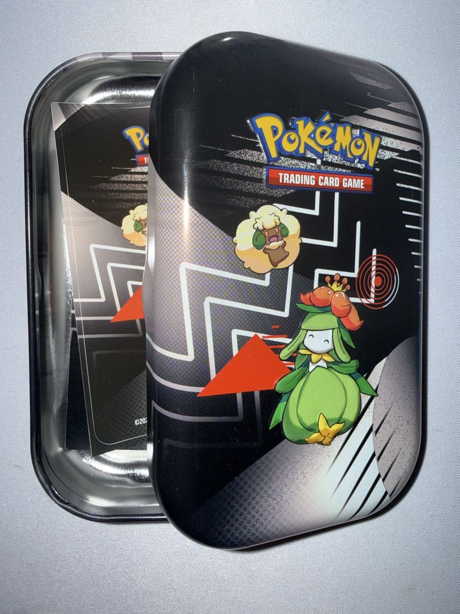 Pokémon Carte collezionabili: Pokemon Mini Tin Leer/Empty – Usato da Bern venduto da Ludixii