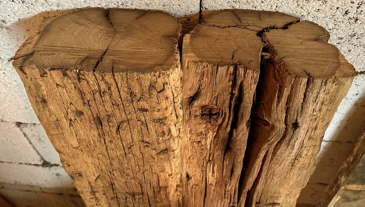 Articoli in legno: Eiche, Balken, Eichenbalken, Holz, massiv, Möbel, Sitzbank – Usato da Meggen venduto da deanstreet 3