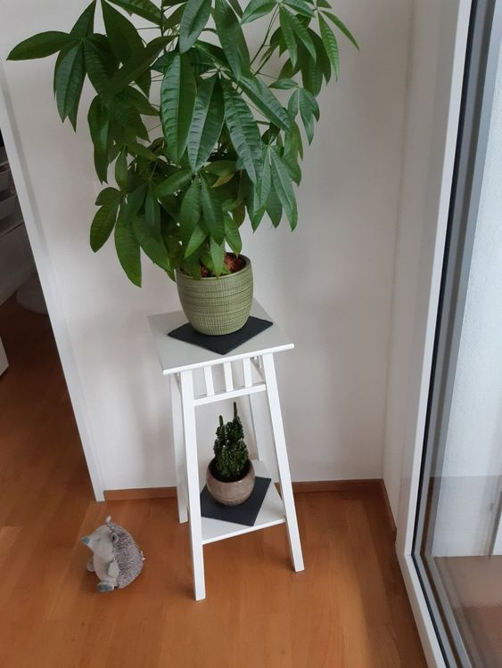 LANTLIV Blumenständer Weiss, 78 cm. Hoch. Massivholz. Ikea Kaufen auf