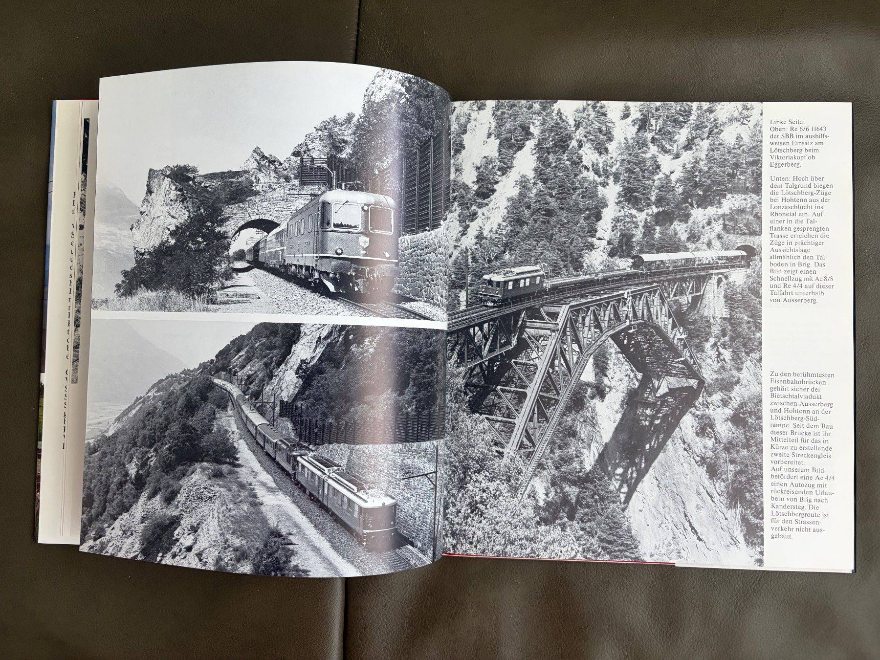 Libri: Buch Schweizer Bahnen. Schweizer Landschaften – Usato da Nunningen venduto da anclaudia 4